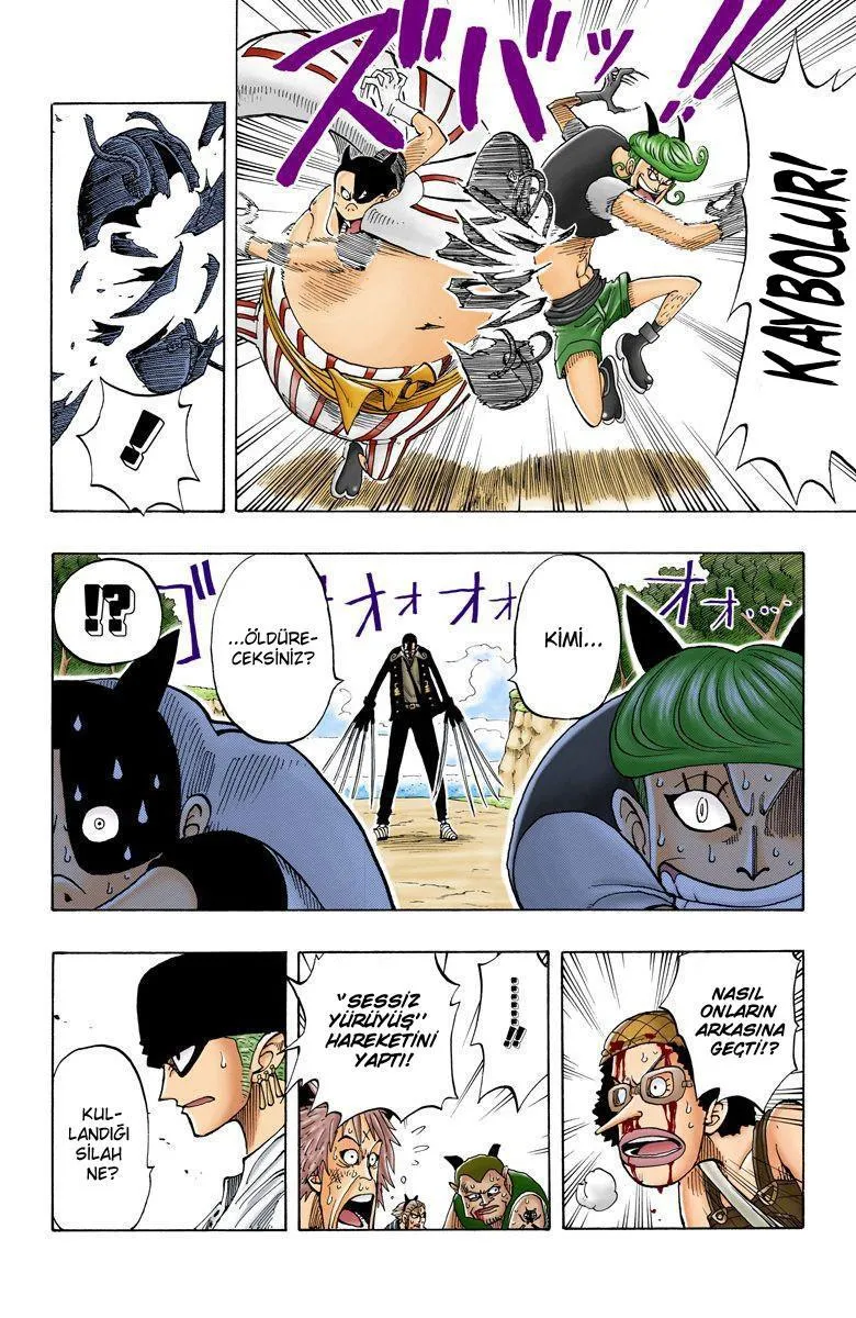 One Piece [Renkli] - Sayfa 7