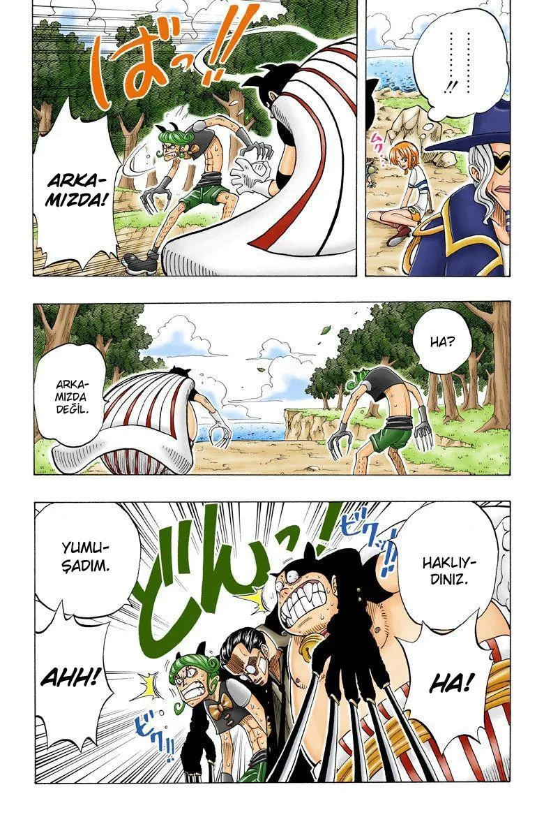 One Piece [Renkli] - Sayfa 8