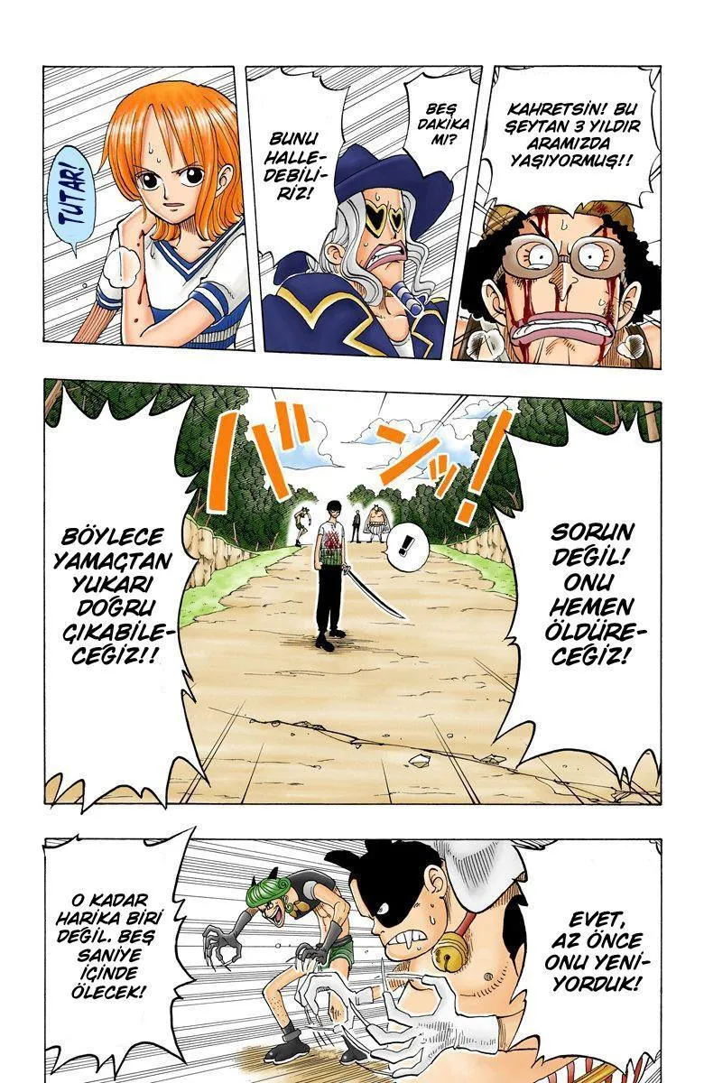 One Piece [Renkli] - Sayfa 12