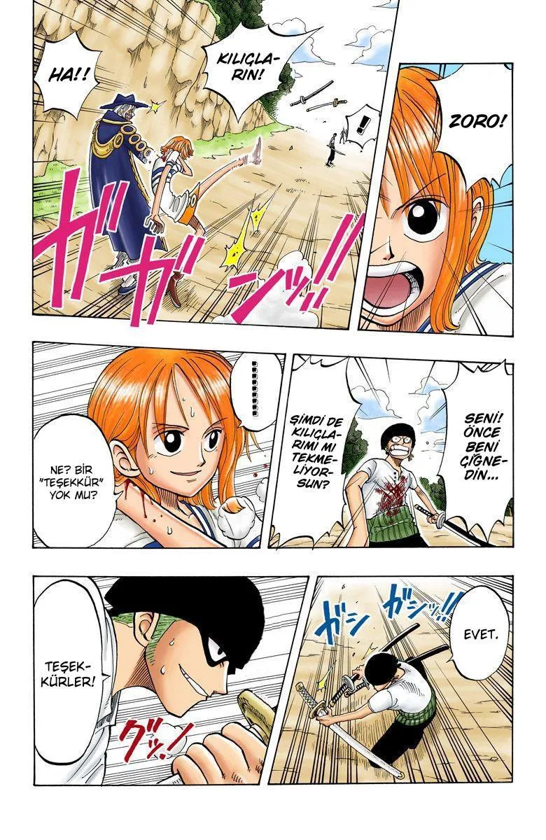 One Piece [Renkli] - Sayfa 13