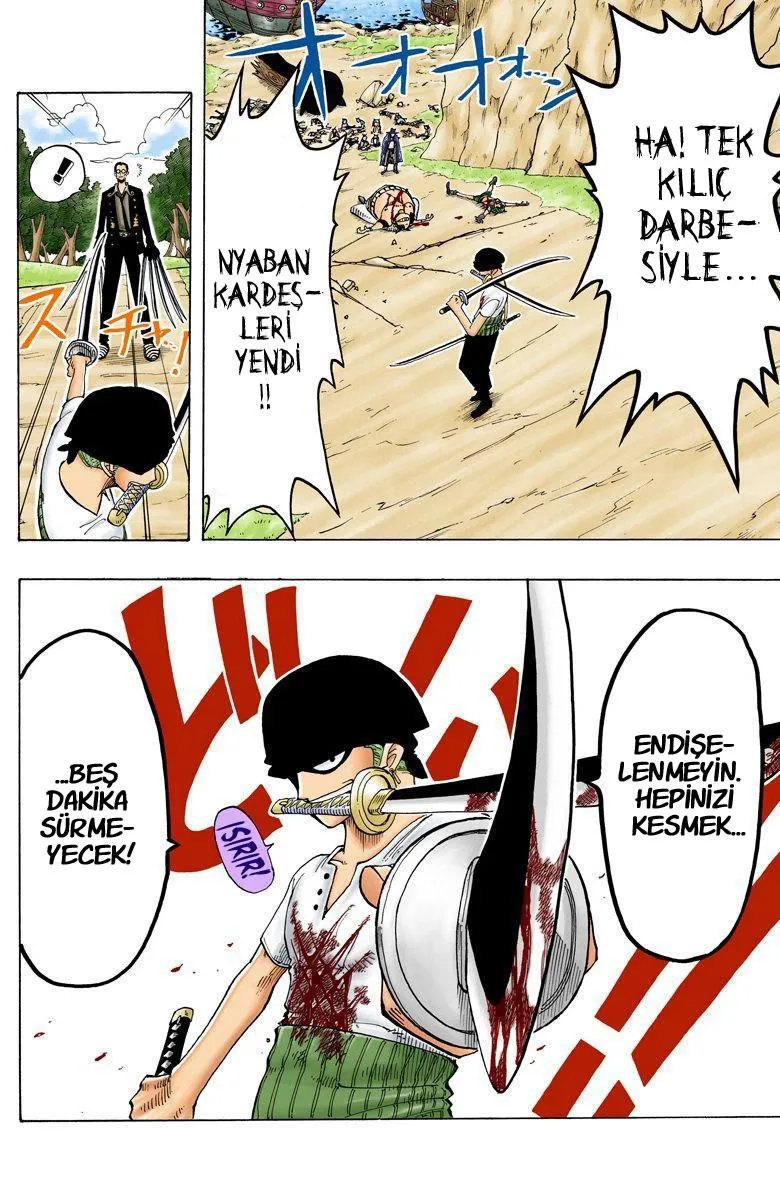 One Piece [Renkli] - Sayfa 17