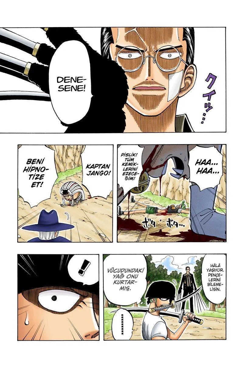 One Piece [Renkli] - Sayfa 18