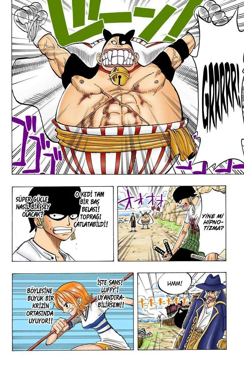 One Piece [Renkli] - Sayfa 19