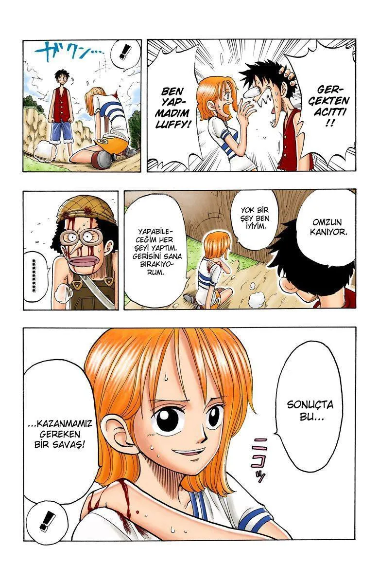 One Piece [Renkli] - Sayfa 8