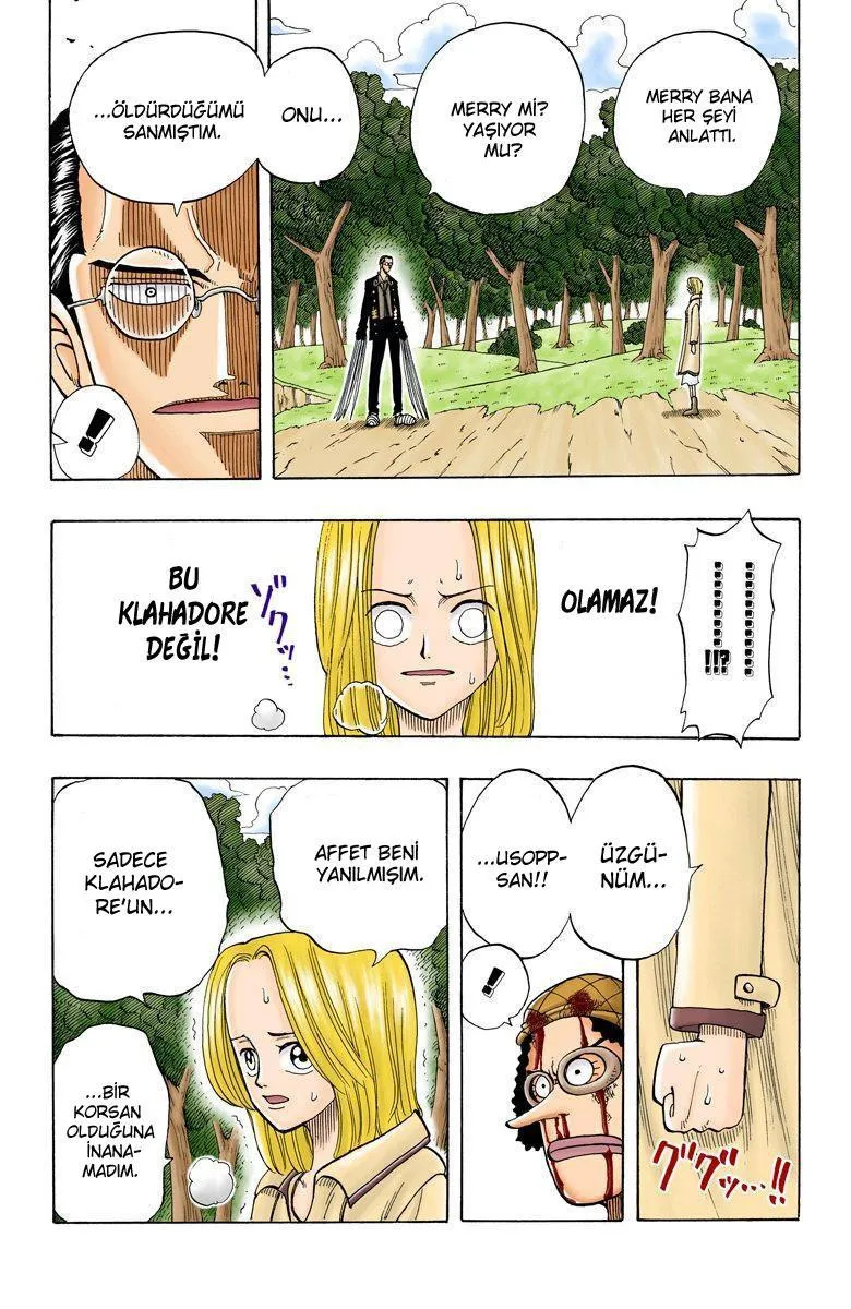 One Piece [Renkli] - Sayfa 13