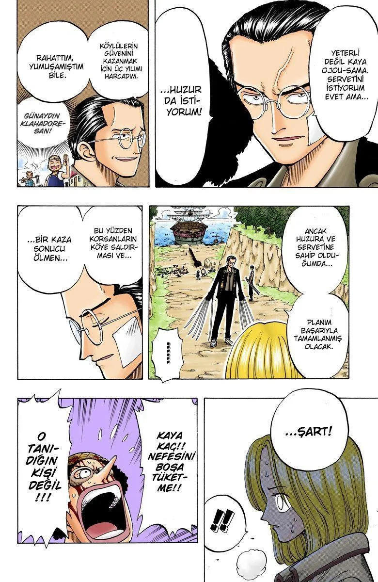 One Piece [Renkli] - Sayfa 15