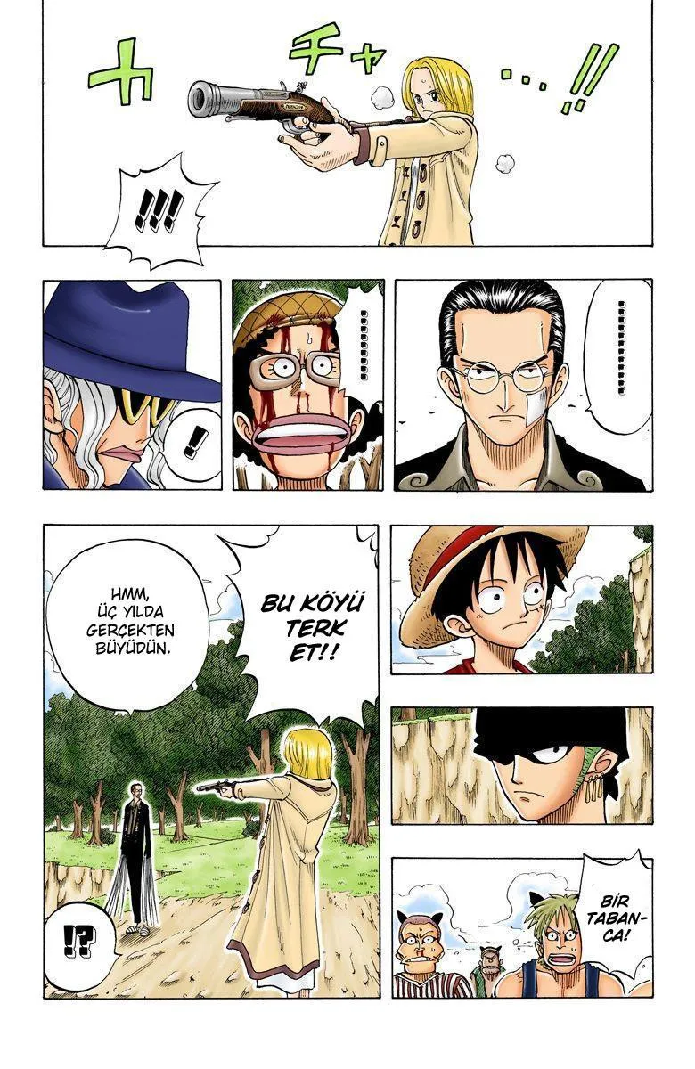 One Piece [Renkli] - Sayfa 16