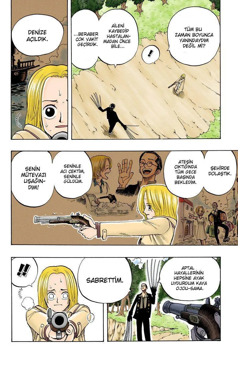 One Piece [Renkli] - Sayfa 17