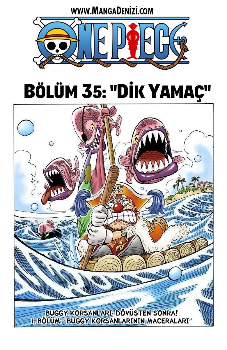 One Piece [Renkli] - Sayfa 2