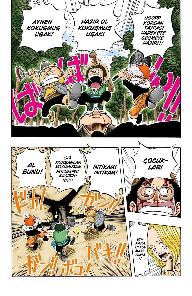 One Piece [Renkli] - Sayfa 5