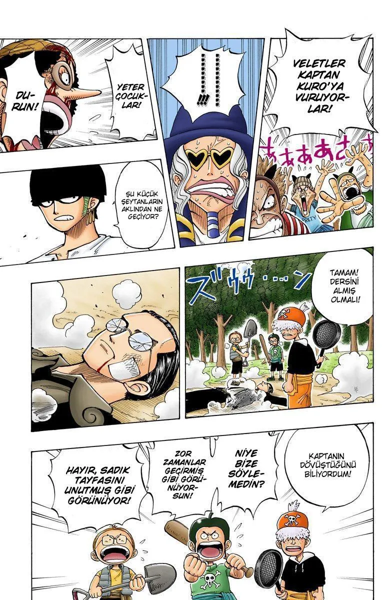 One Piece [Renkli] - Sayfa 6