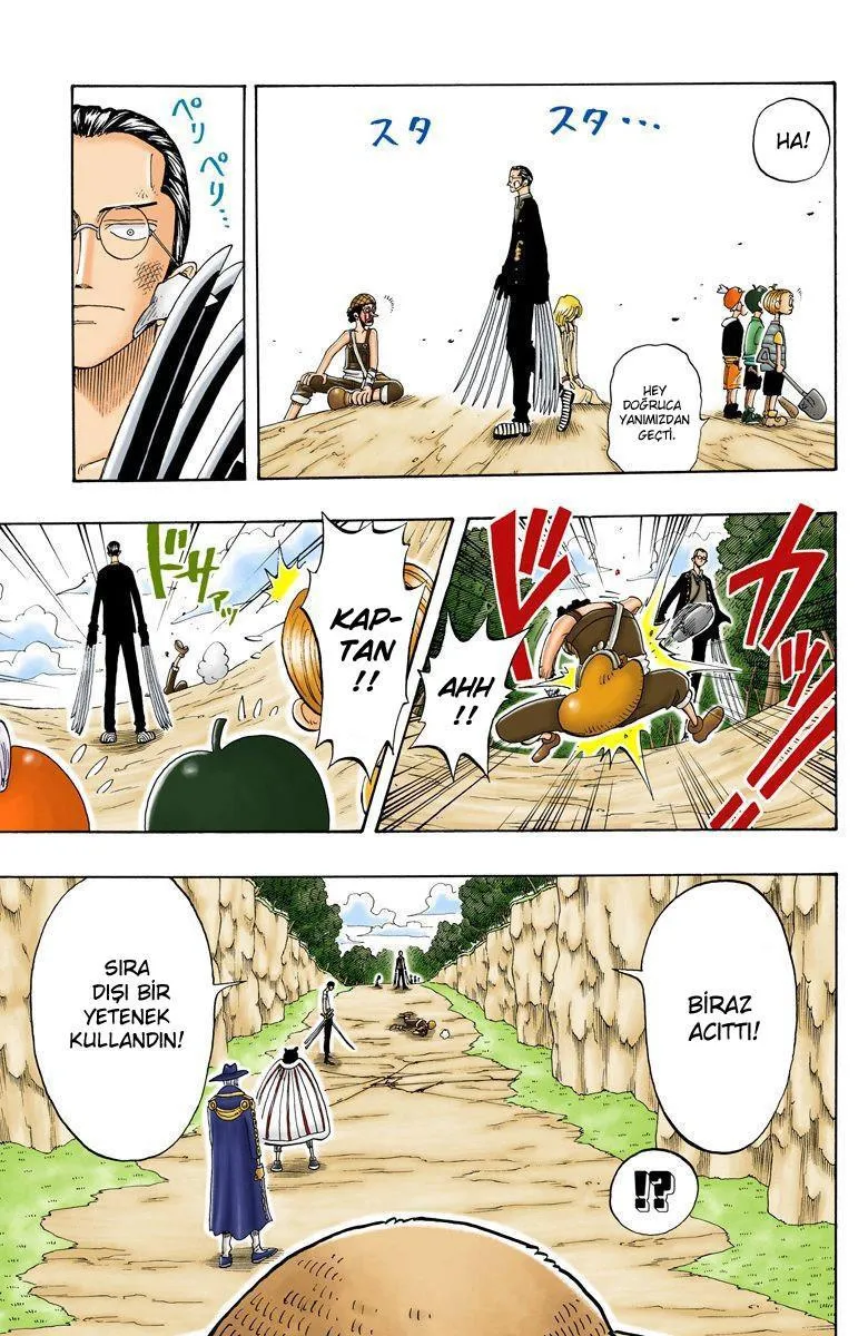 One Piece [Renkli] - Sayfa 8