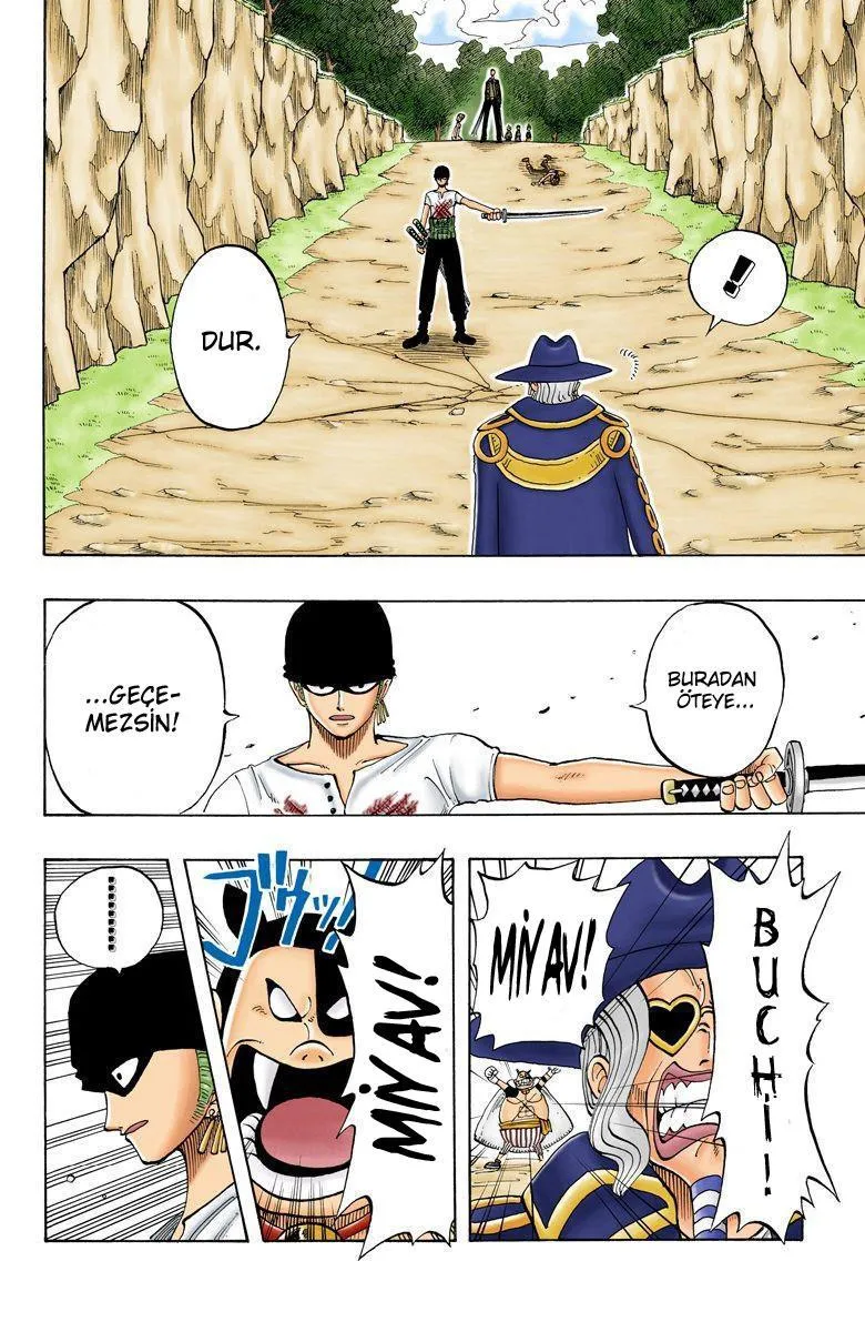 One Piece [Renkli] - Sayfa 11