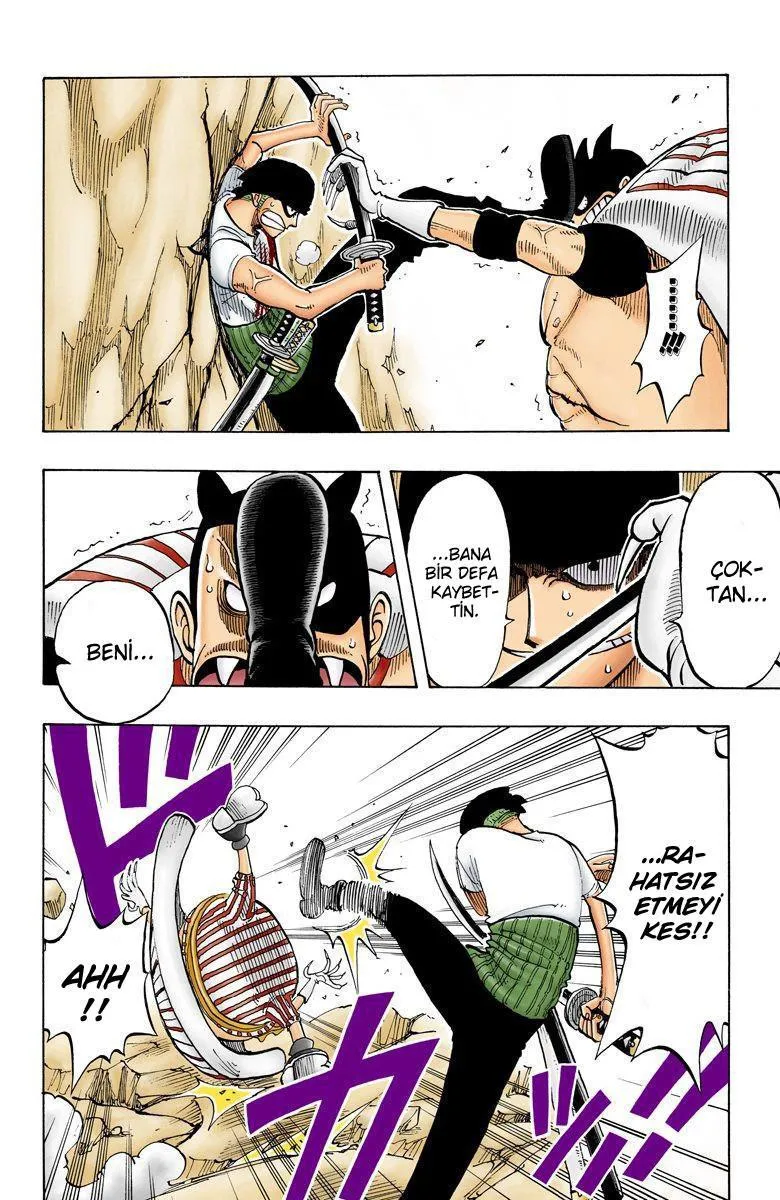 One Piece [Renkli] - Sayfa 15