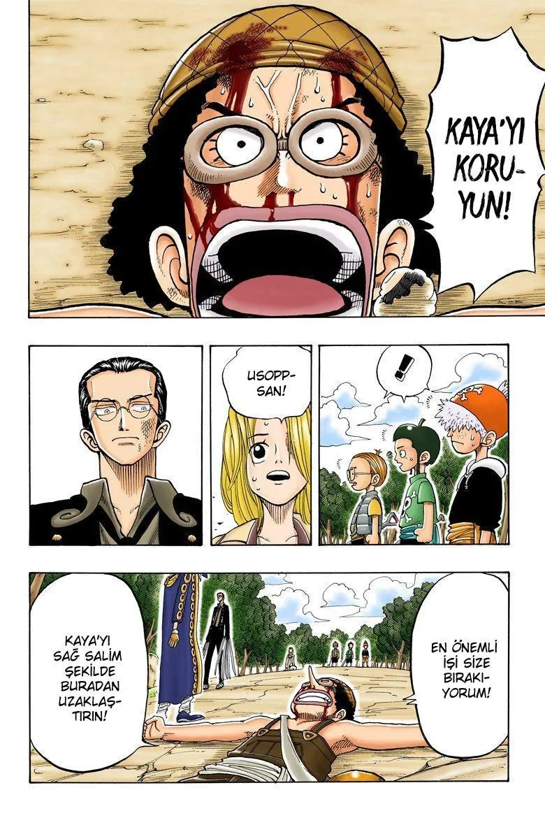 One Piece [Renkli] - Sayfa 17