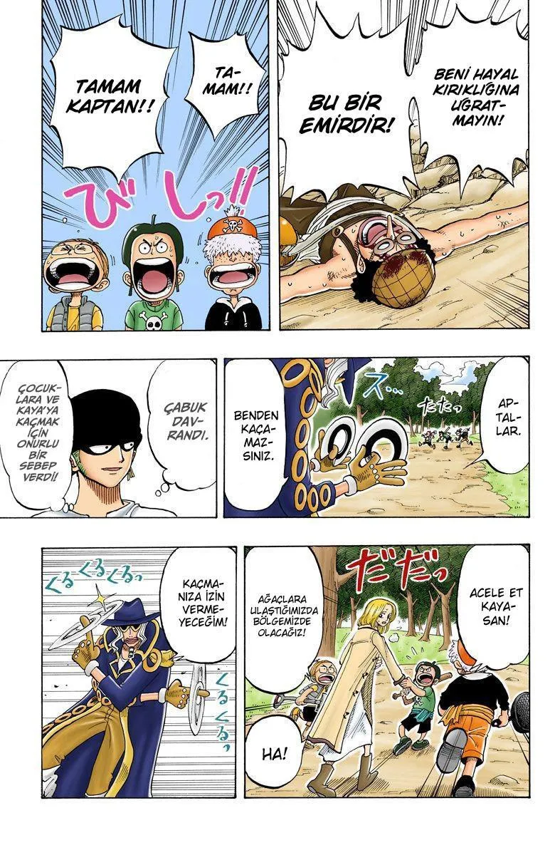 One Piece [Renkli] - Sayfa 18