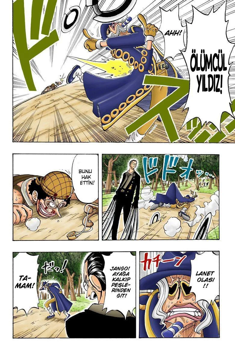 One Piece [Renkli] - Sayfa 19