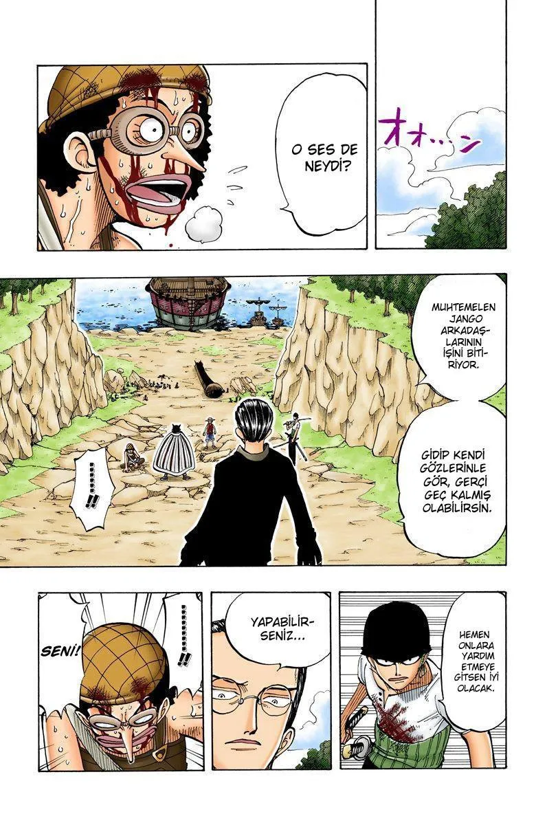 One Piece [Renkli] - Sayfa 6