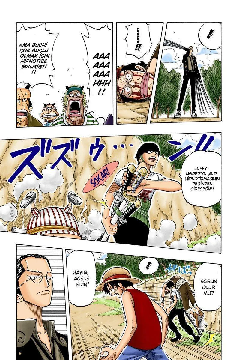 One Piece [Renkli] - Sayfa 14