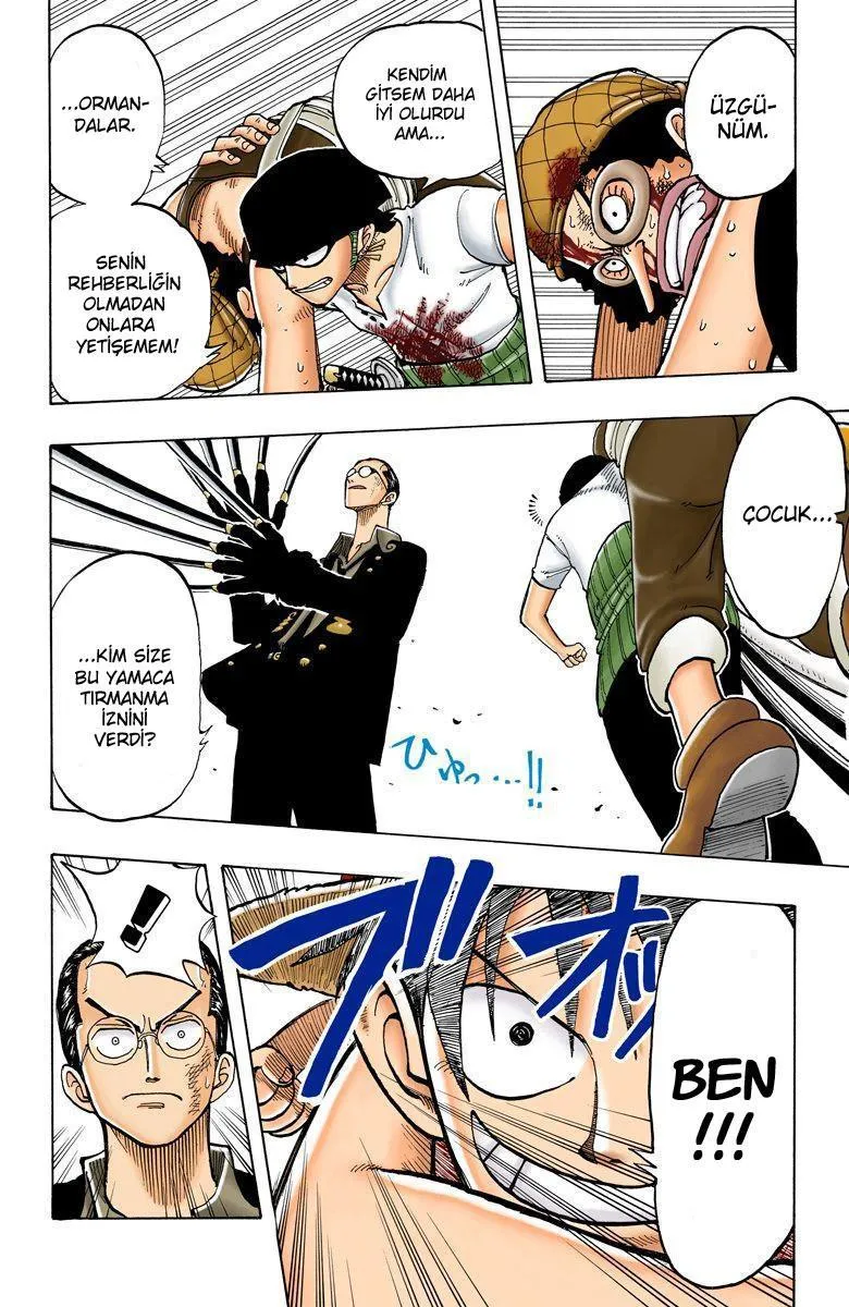 One Piece [Renkli] - Sayfa 15