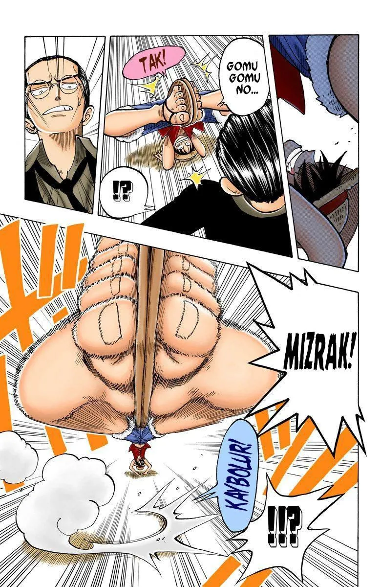 One Piece [Renkli] - Sayfa 18