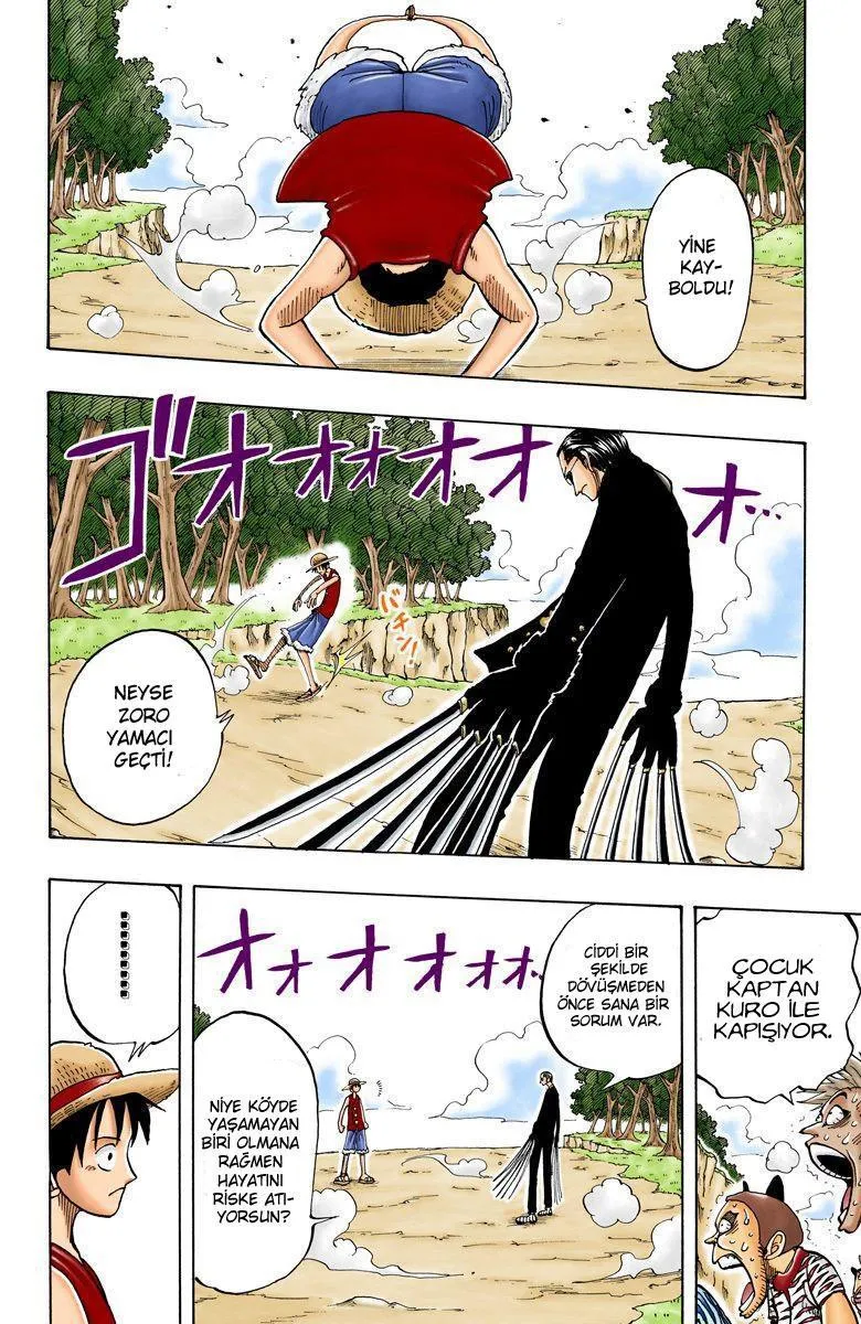 One Piece [Renkli] - Sayfa 19