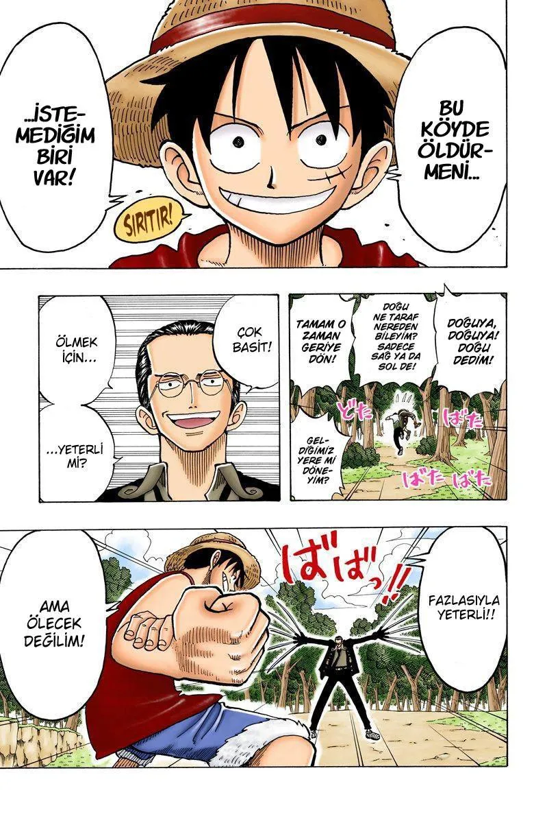 One Piece [Renkli] - Sayfa 20