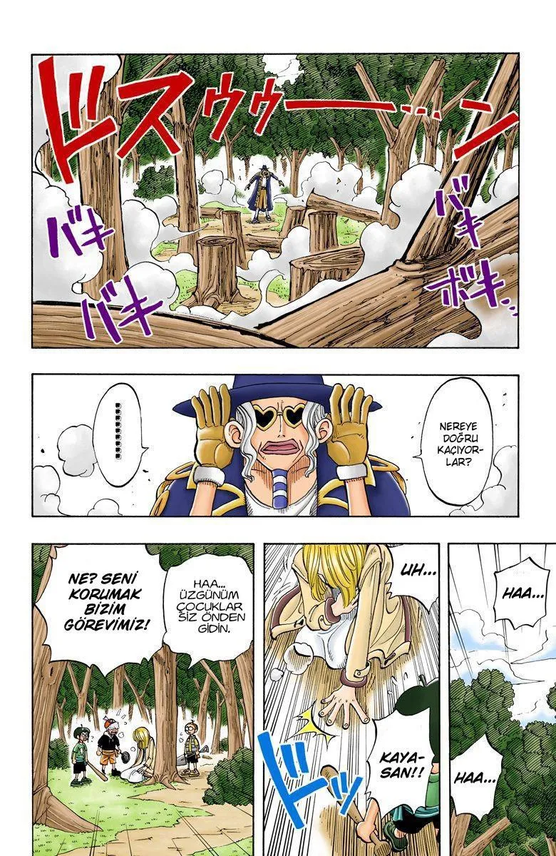 One Piece [Renkli] - Sayfa 21