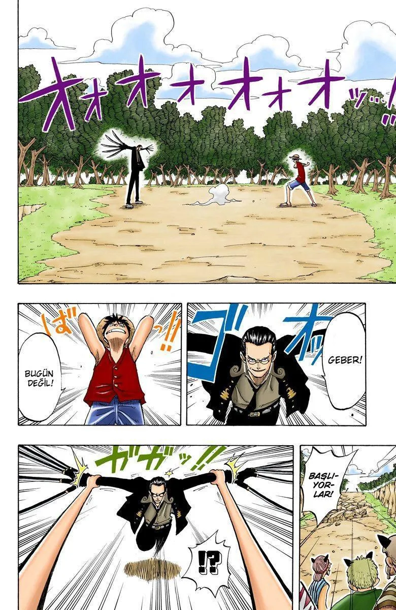 One Piece [Renkli] - Sayfa 3