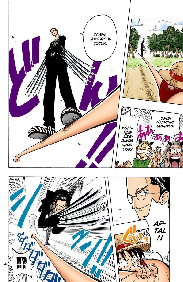 One Piece [Renkli] - Sayfa 7