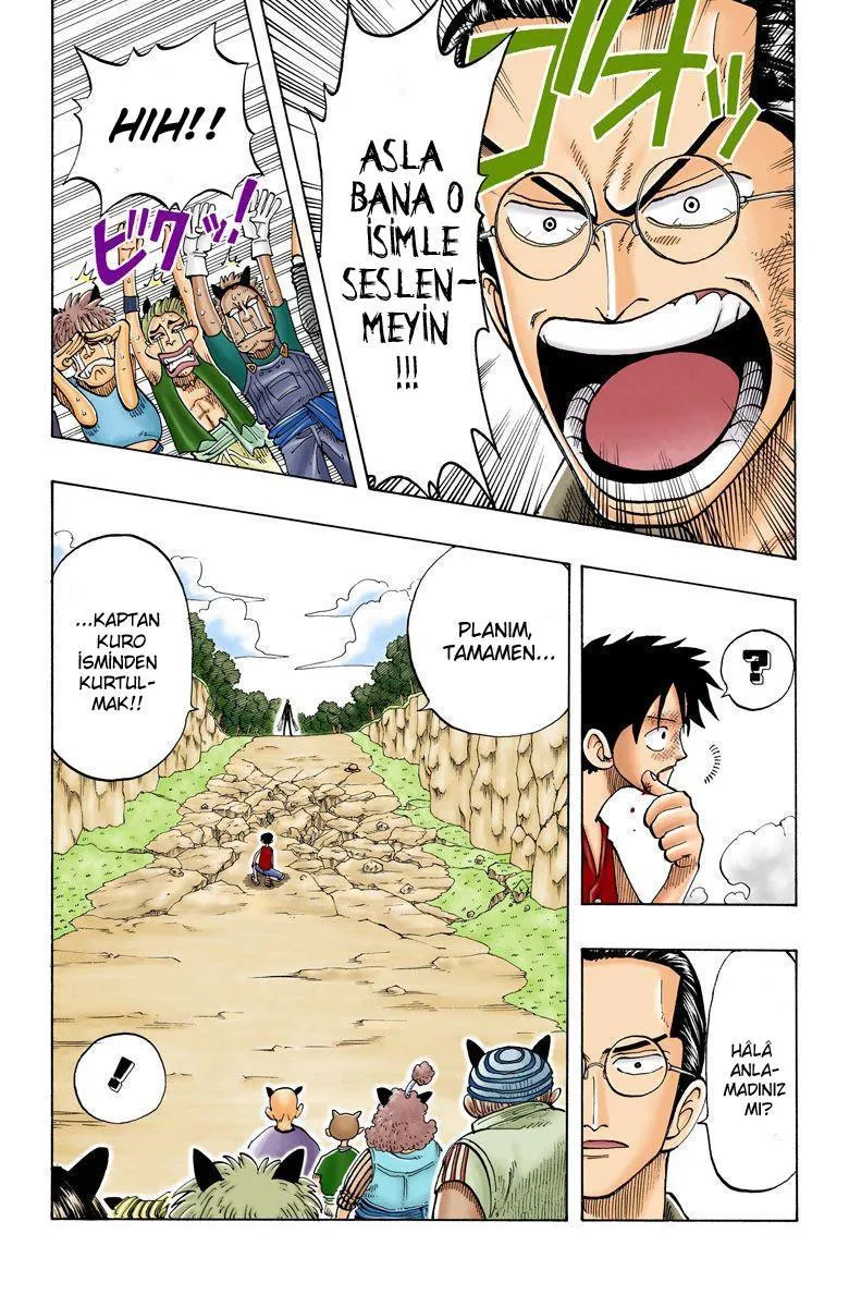 One Piece [Renkli] - Sayfa 10
