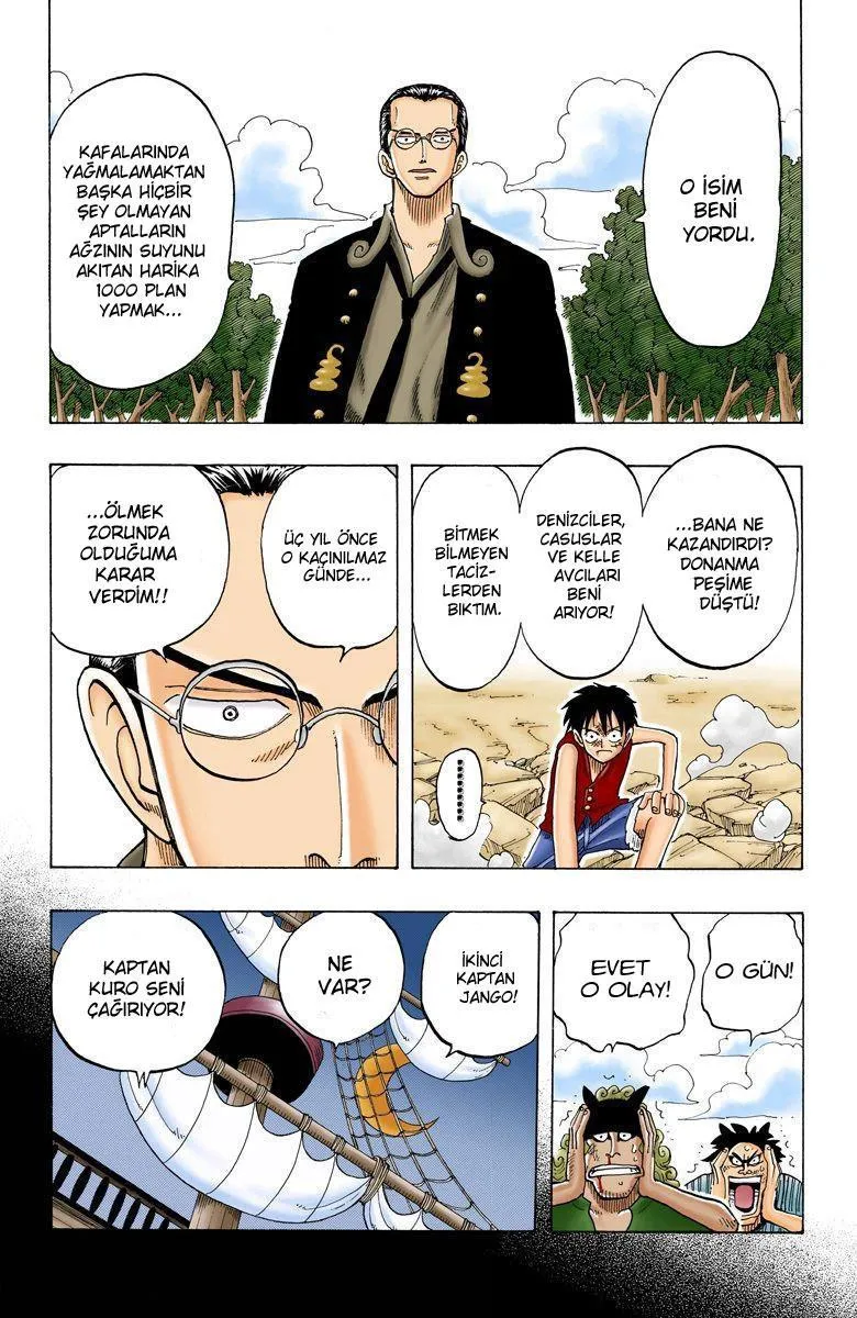 One Piece [Renkli] - Sayfa 11