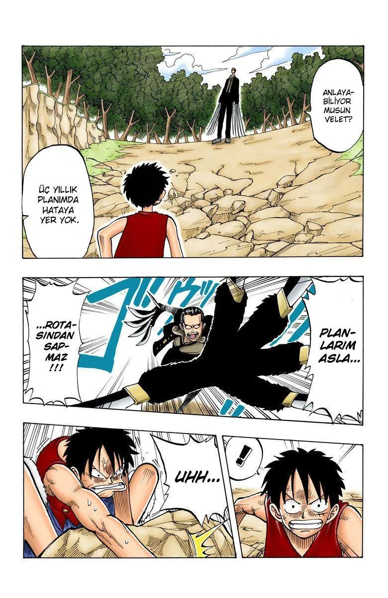 One Piece [Renkli] - Sayfa 18