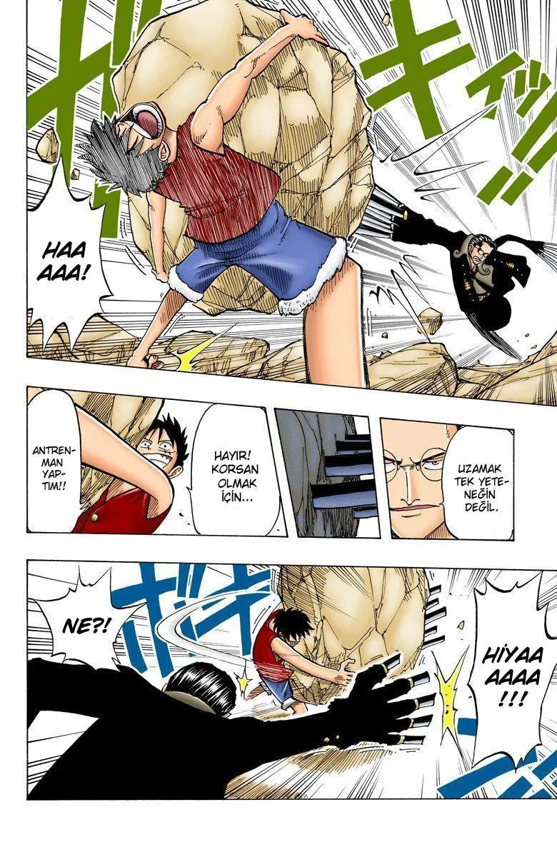 One Piece [Renkli] - Sayfa 19