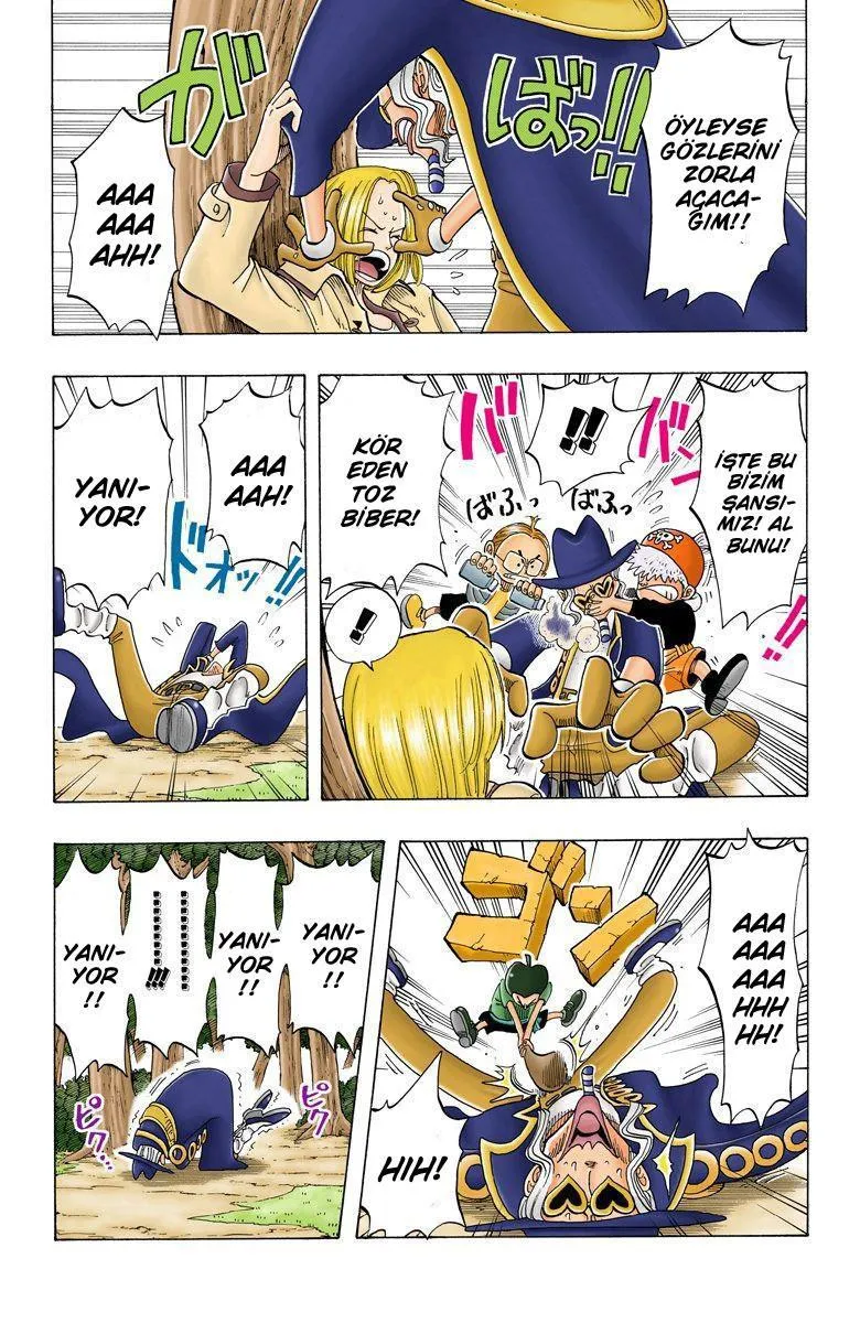 One Piece [Renkli] - Sayfa 6