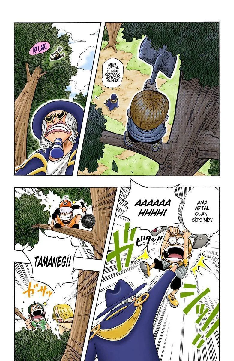 One Piece [Renkli] - Sayfa 8