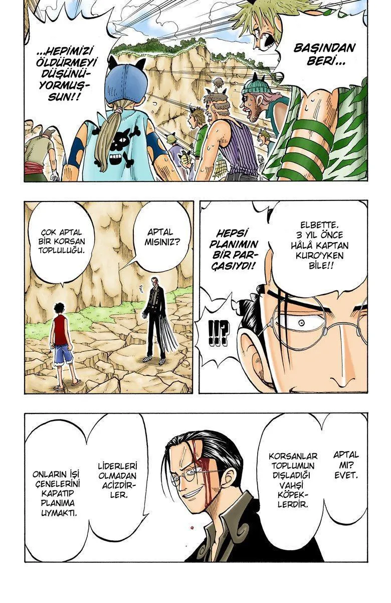 One Piece [Renkli] - Sayfa 11