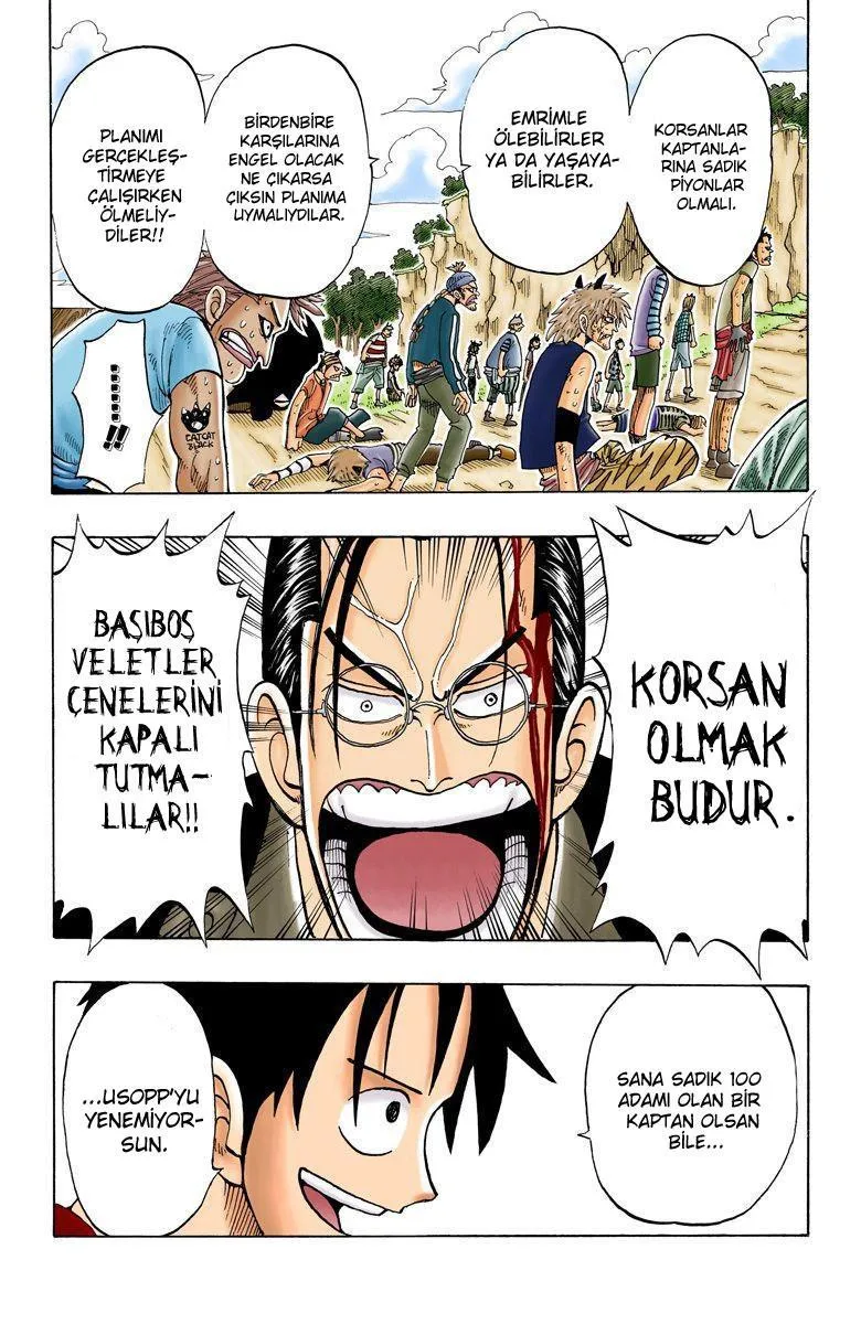 One Piece [Renkli] - Sayfa 12