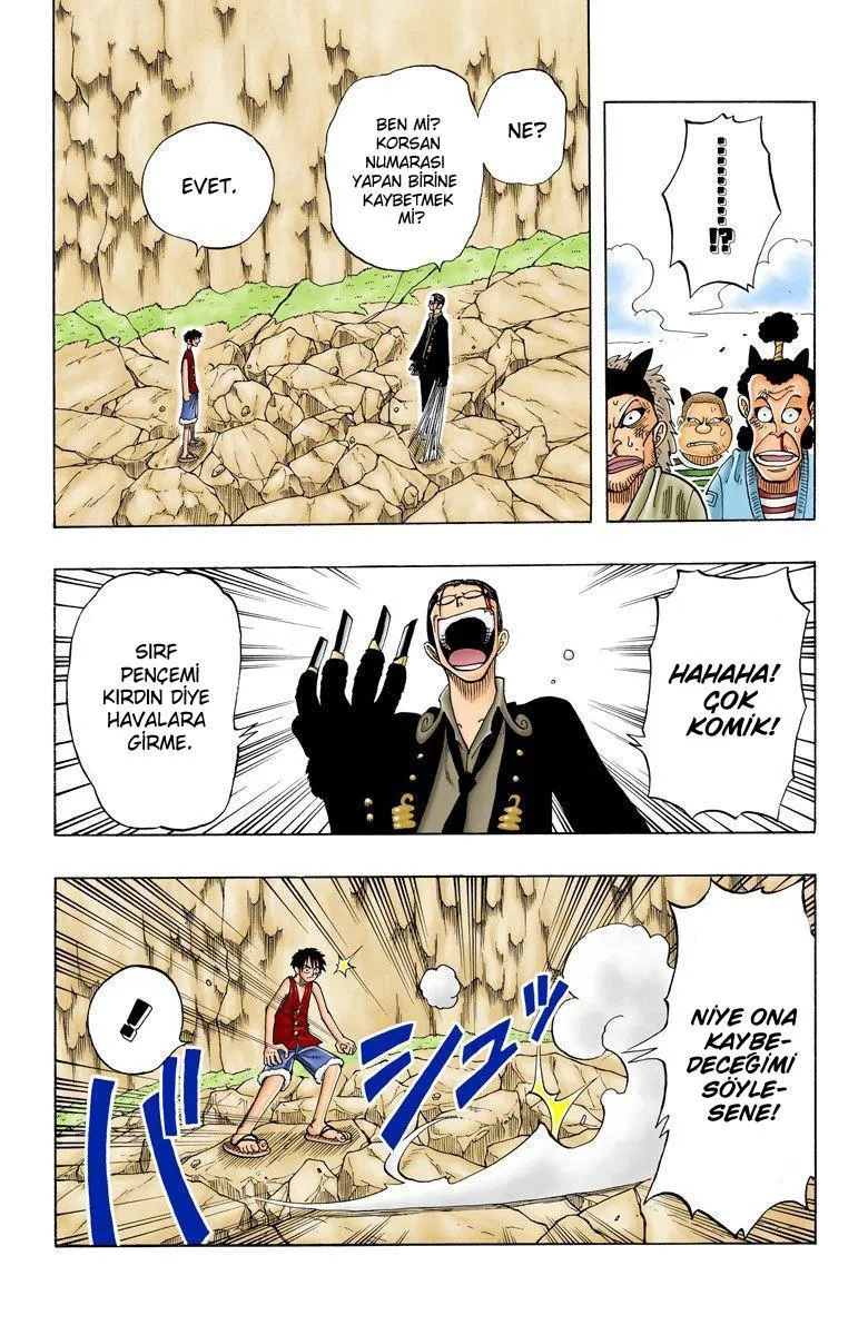 One Piece [Renkli] - Sayfa 13