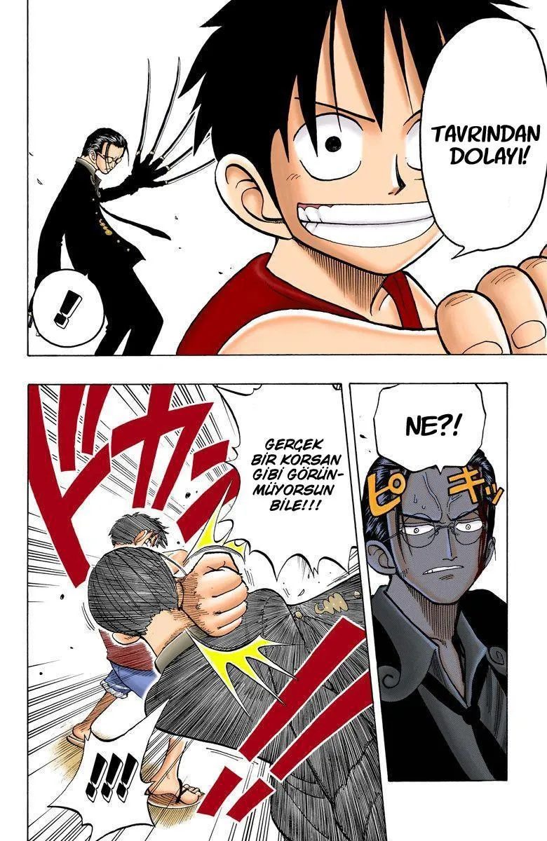 One Piece [Renkli] - Sayfa 14