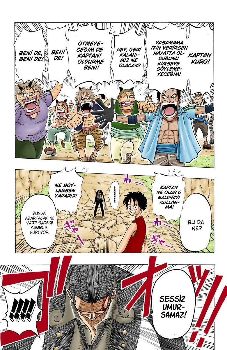 One Piece [Renkli] - Sayfa 17