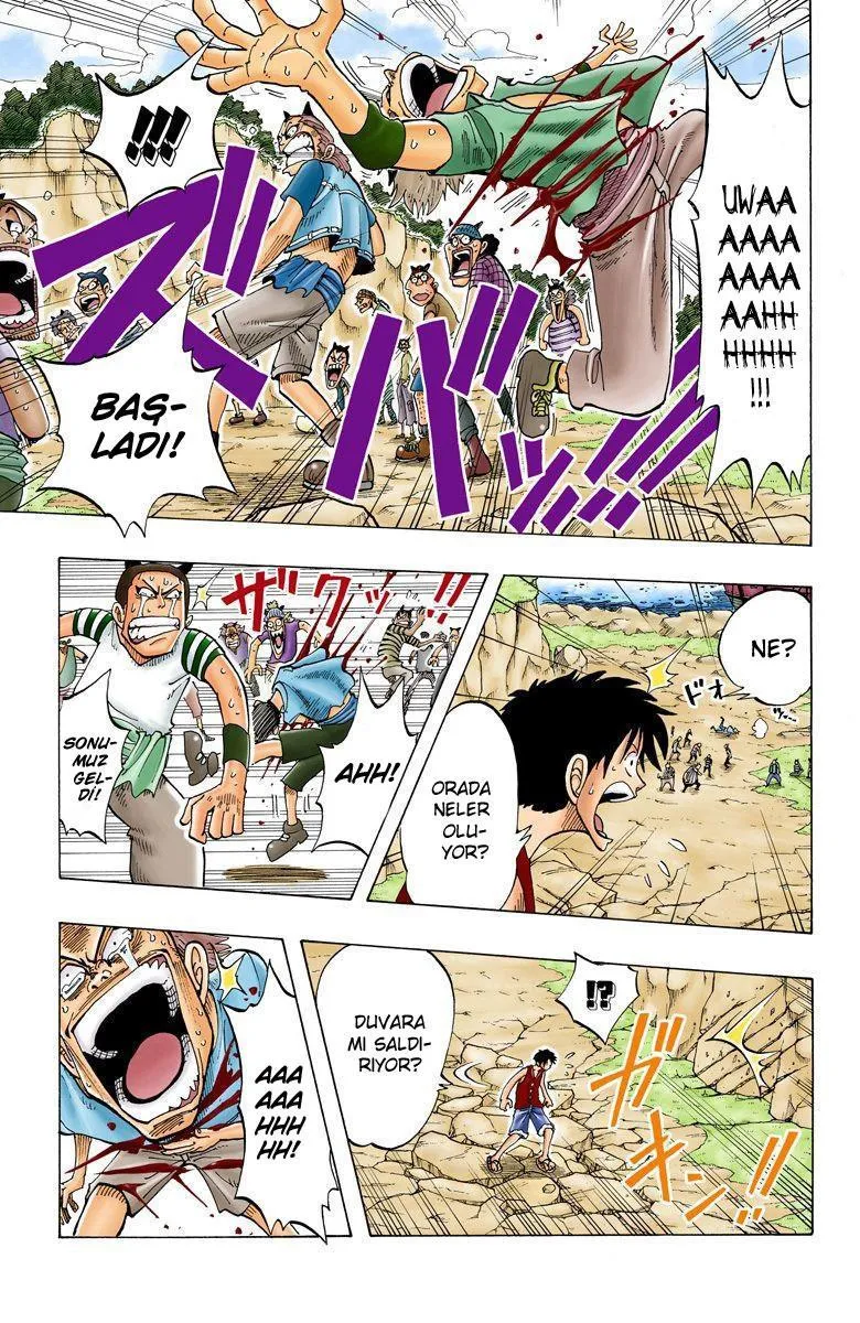 One Piece [Renkli] - Sayfa 19