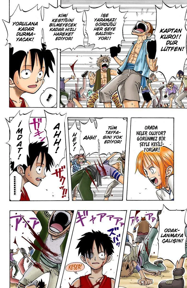 One Piece [Renkli] - Sayfa 20