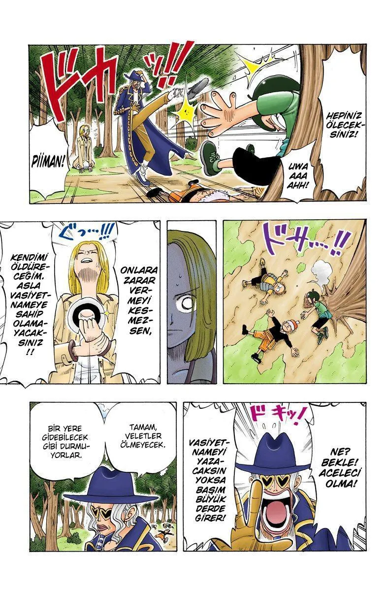 One Piece [Renkli] - Sayfa 10