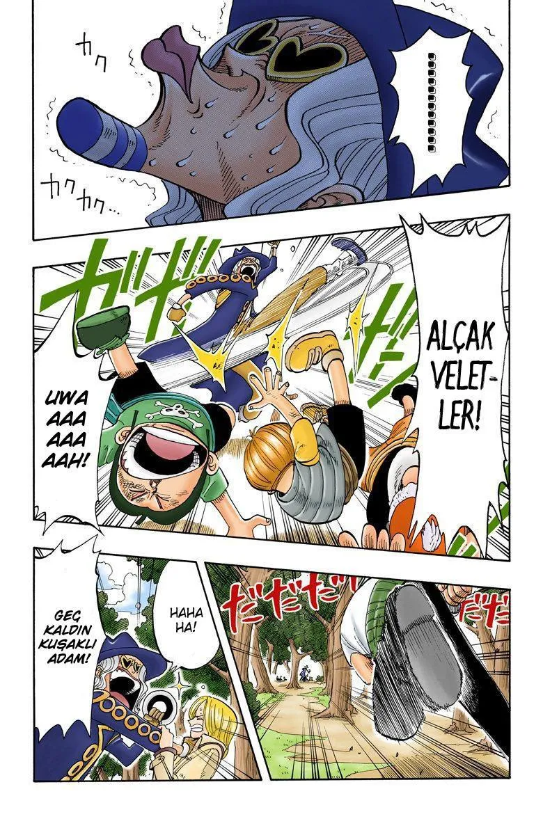 One Piece [Renkli] - Sayfa 15