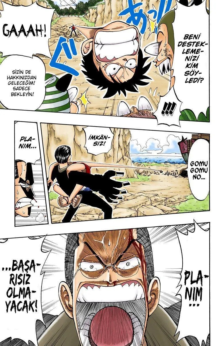 One Piece [Renkli] - Sayfa 18