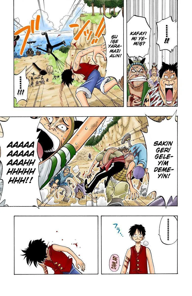 One Piece [Renkli] - Sayfa 6