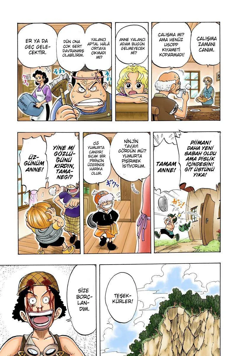 One Piece [Renkli] - Sayfa 12