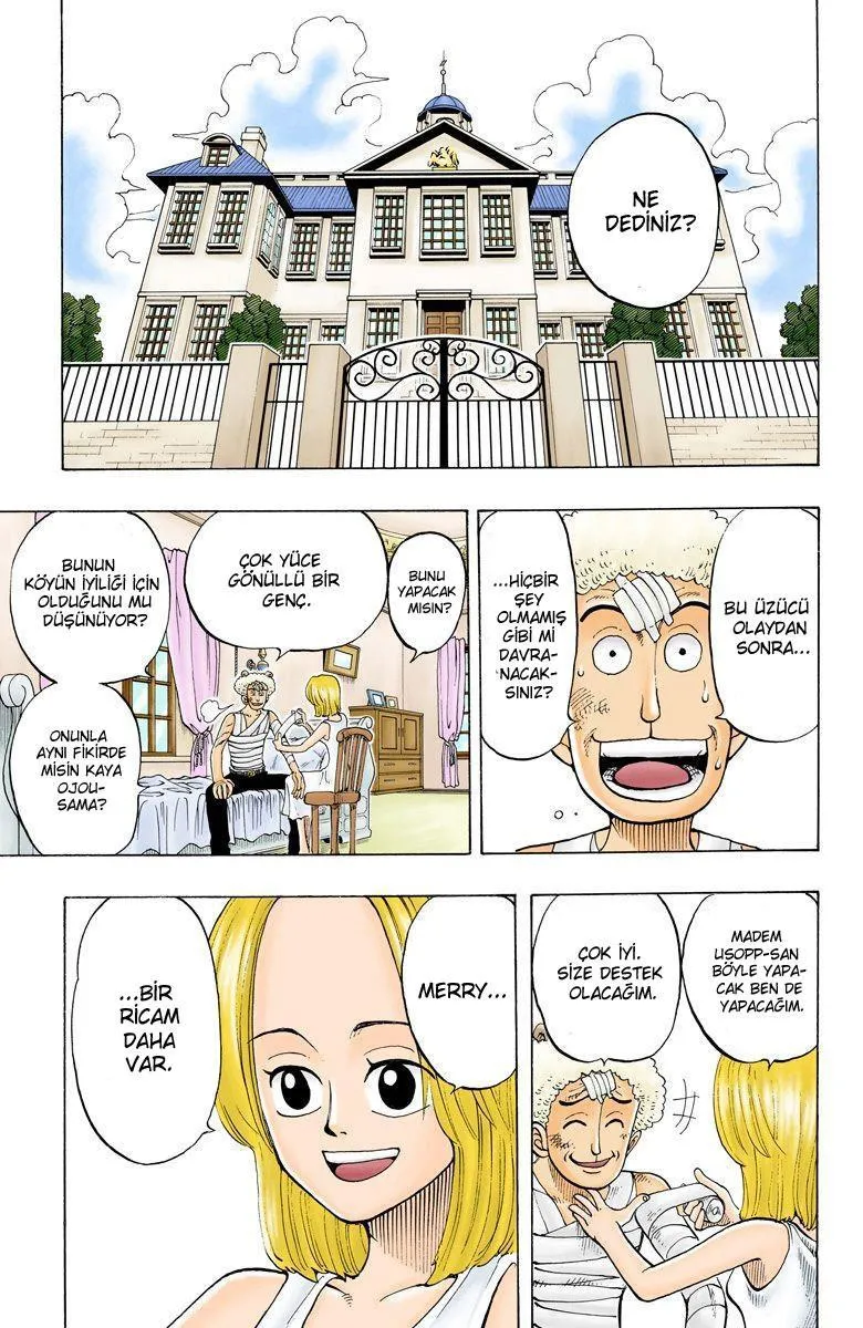 One Piece [Renkli] - Sayfa 14