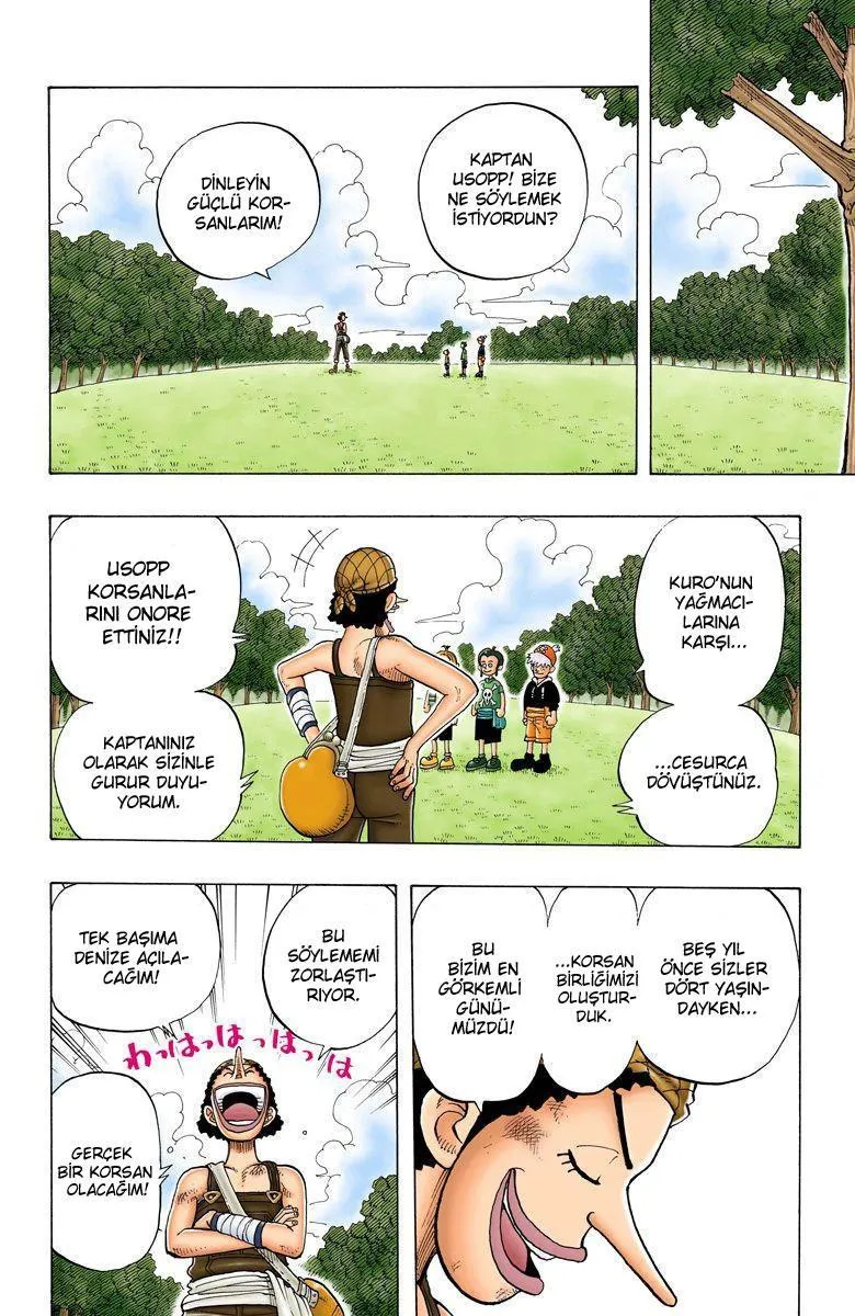 One Piece [Renkli] - Sayfa 15